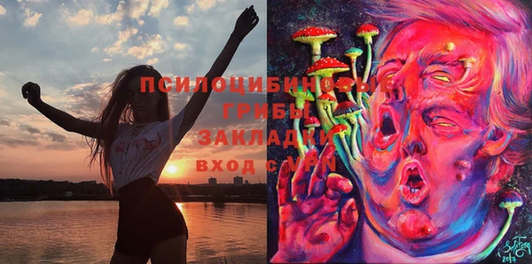 кокаин перу Касимов