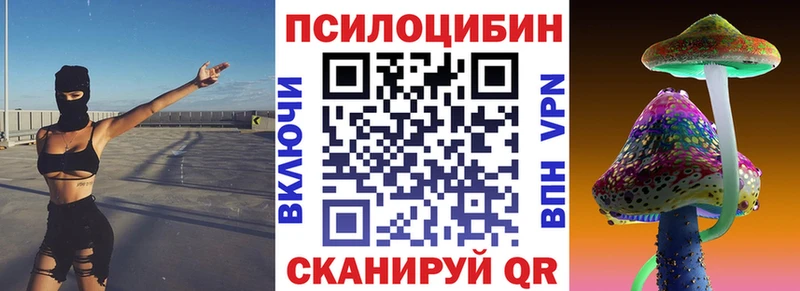 Купить закладки  Вятские Поляны  Галлюциногенные грибы MAGIC MUSHROOMS 
